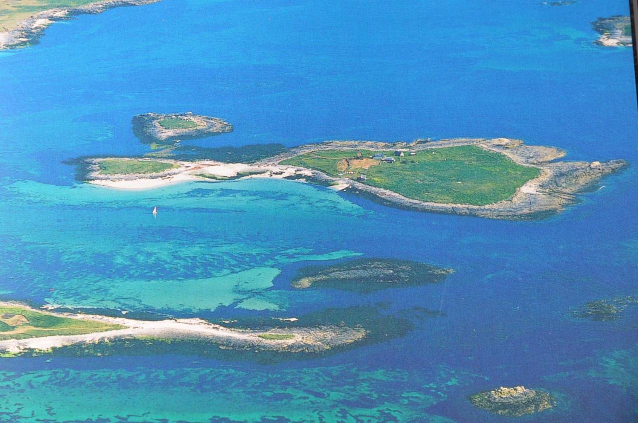 Votre Vue, La Mer, Les Bateaux !!! Wir Sprechen Flieben Deutsch, Touristentipps, We Speak English Daire Concarneau Dış mekan fotoğraf